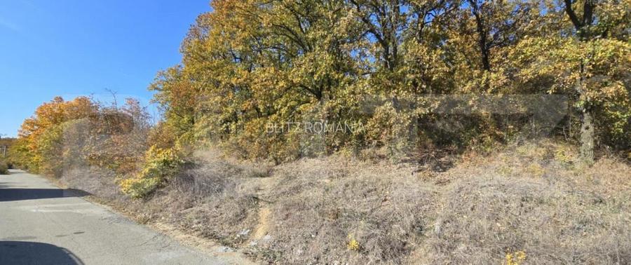 Oportunitate! 10 hectare de Padure in Satul de Vacanta Poda