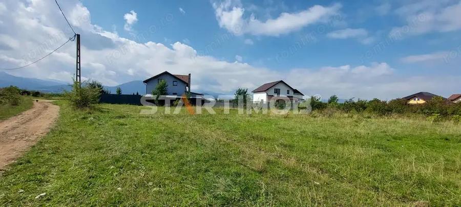 Teren Intravilan Tarlugeni - 8