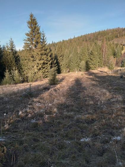 Teren de vanzare - 2