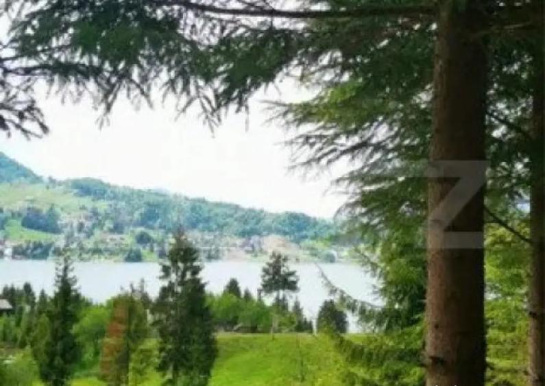 Teren Colibita, 1120 mp - 8