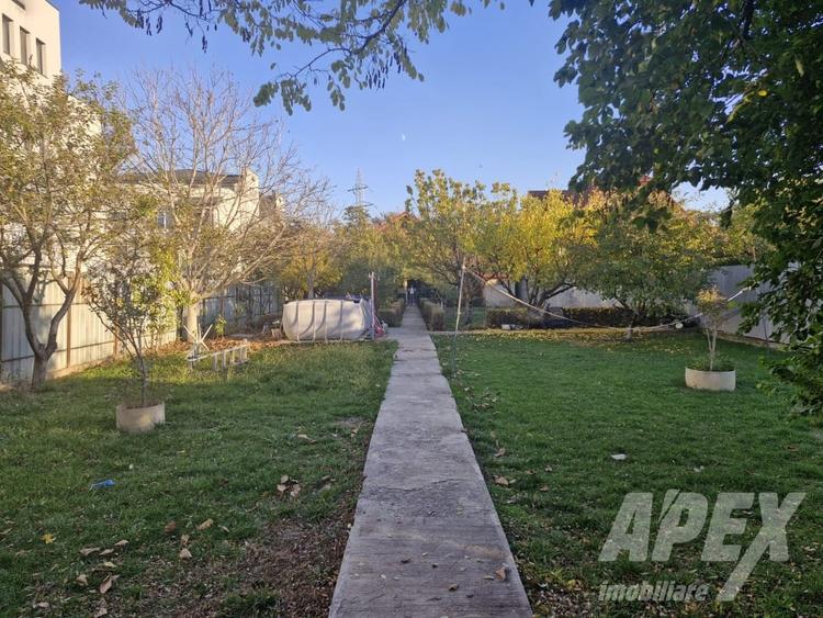 Casa 5 camere | Hala 125 mp | Teren 1500 mp | Magurele Padure - 11