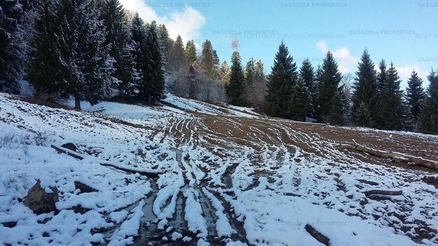 Teren in suprafata de 11 310  mp situat in Rasnov, Paraul Rece - 8