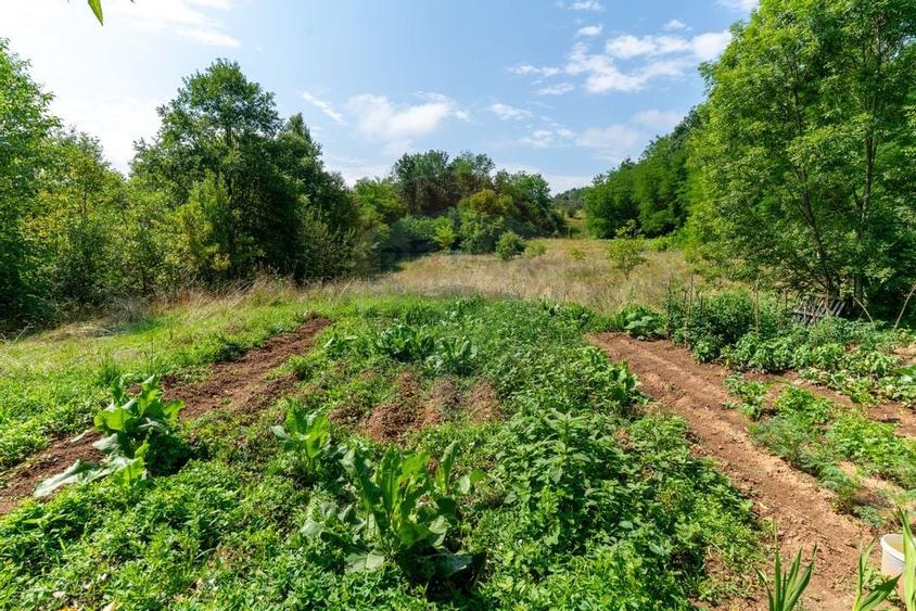 Casa / Vila cu 3 camere de vanzare - 40