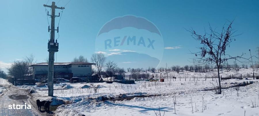 Teren 9,000mp Buftea / Strada Randunelelor - 2