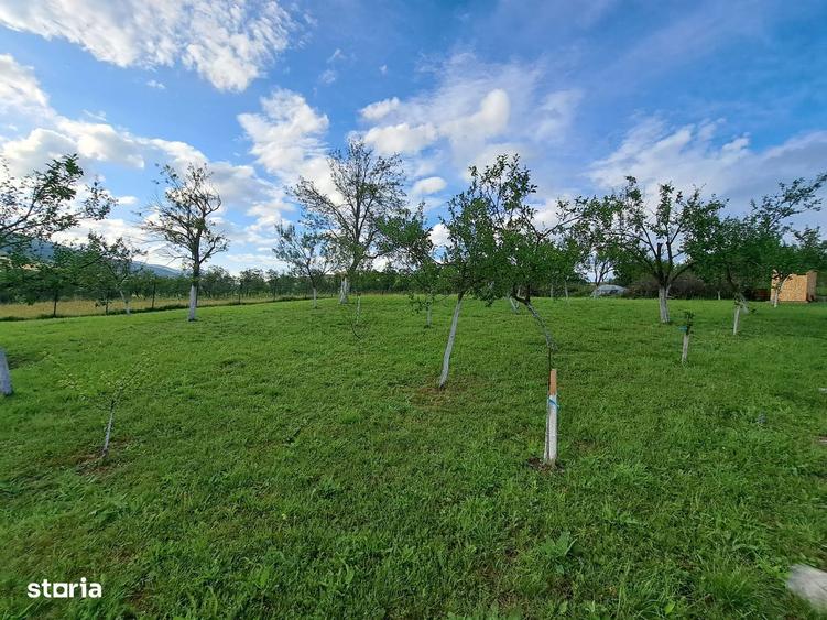 Teren (2400mp)de vanzare in Galda de Jos- Benic - 3