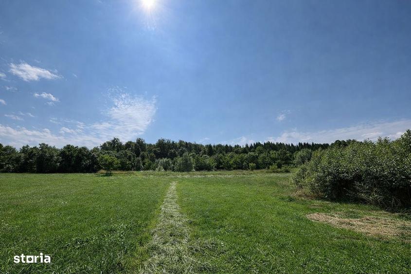 Teren extravilan | Horodnic De Sus | 3600MP - 5