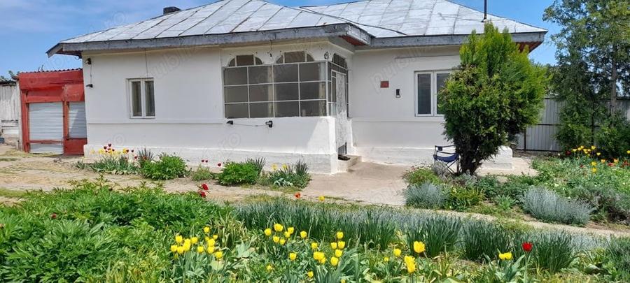 Casa 3 camere - Zorile Comuna Gradinari - 3