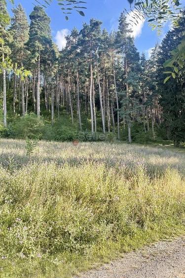 Teren zona Livezii - 5