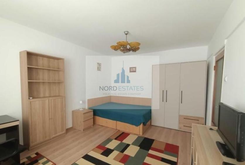 Garsonierea Piata Victoriei metrou - 1