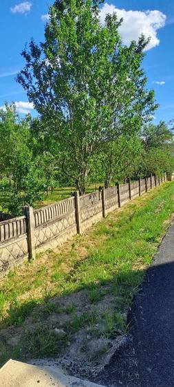 Casa de vanzare la 23 km de Cluj - 9