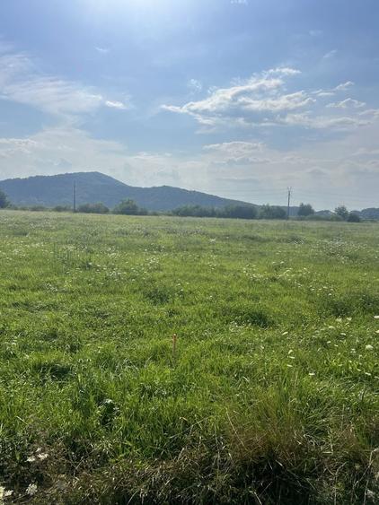 Teren 10.800 mp de vanzare - 3