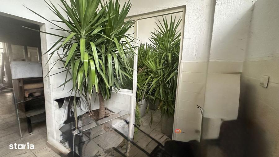 Spatiu comercial, 146 mp, zona Central - 4