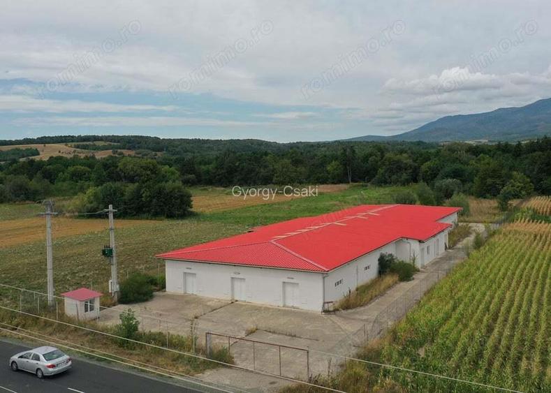 Hala de productie ciuperci de depozitare - Dezna - AR