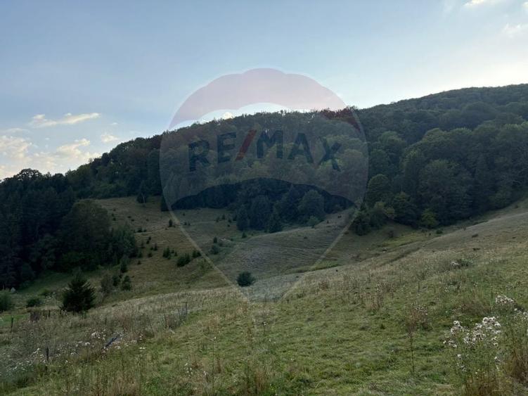 TEREN EXCLUSIV PENTRU INVESTIȚIE ÎN ZONĂ DE AGREMENT – BRAȘOV, DN 1E - 2