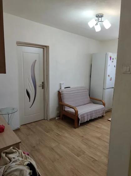 Pantelimon - Ziduri intre Vii - Apartament 2 camere Modern - 4