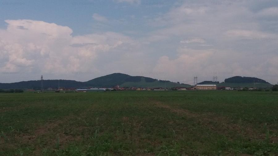 teren sanpetru sere - 1