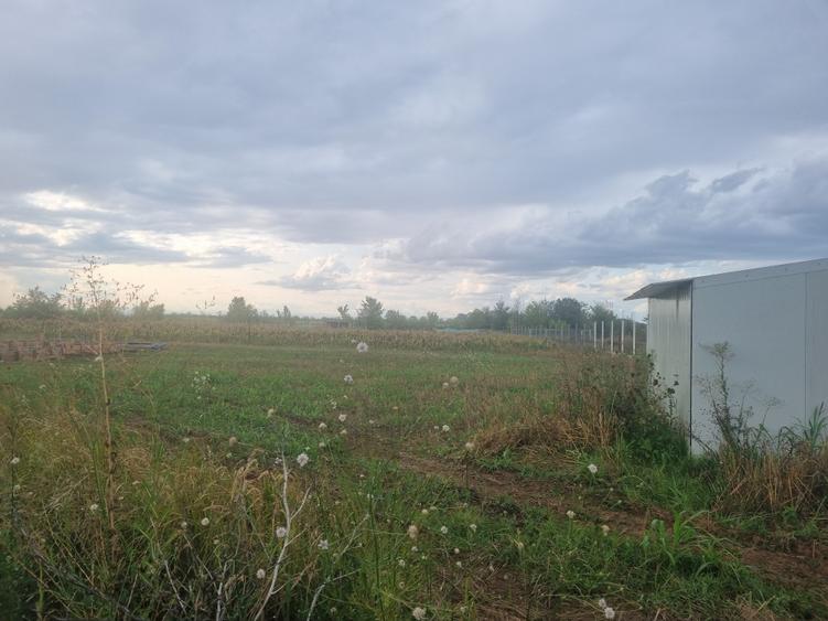 Teren de vanzare in Ciolpani - 5