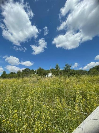 RECO Teren Extravilan Podgoria Oradea - 7