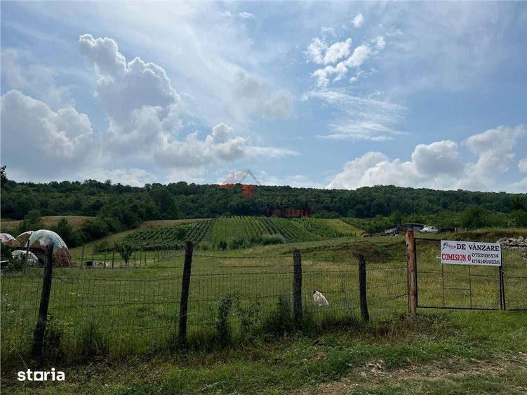 Teren Tomesti 3750MP - 1