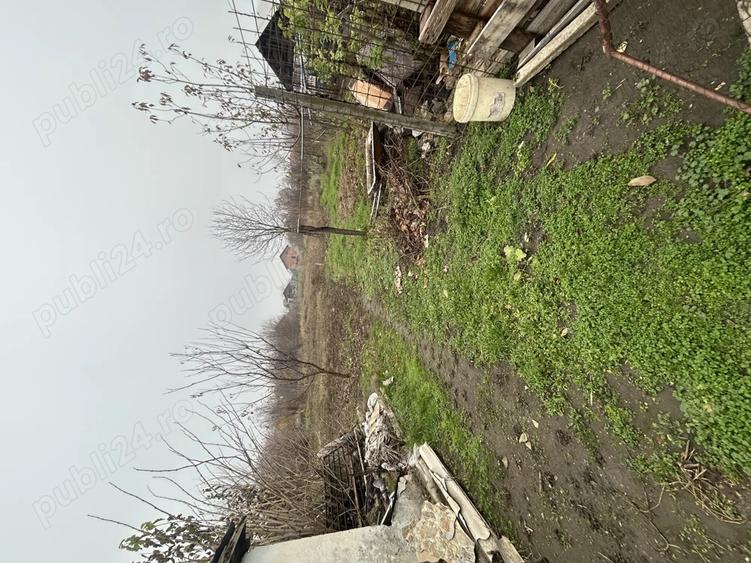 Casa de vanzare Teremia Mare - 3