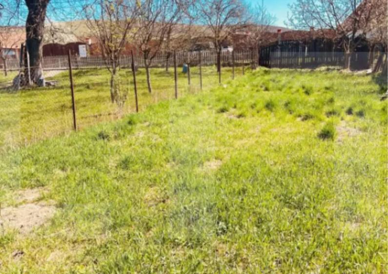 Casa si gradina in Bodoc - 6