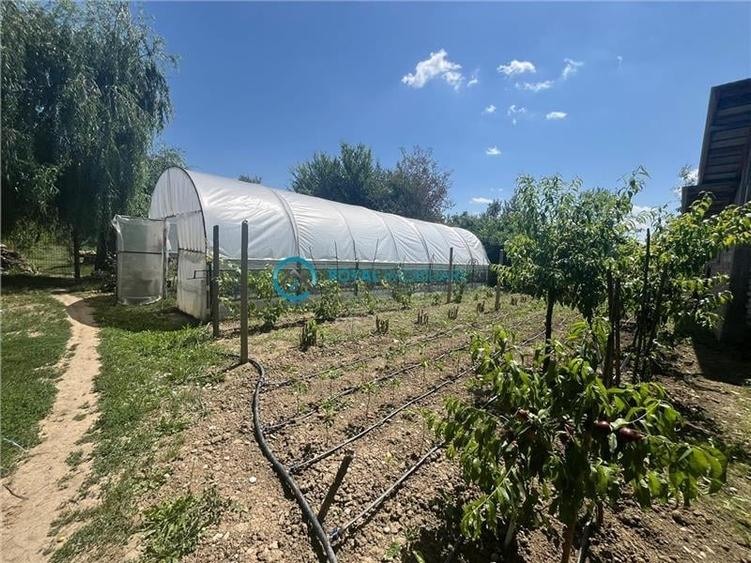 Royal Imobiliare-Vanzare Vila Zona Romanesti - 24