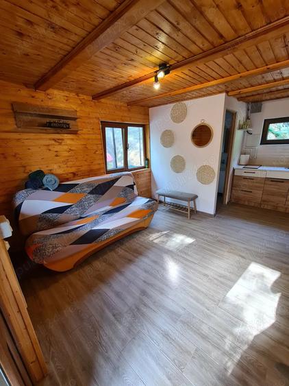 Vand Cabana cu ciubar (Fenes jud Alba) - 3