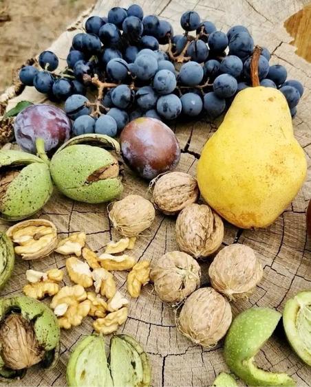 Casa de Vanzar?i 2000 mp - 3