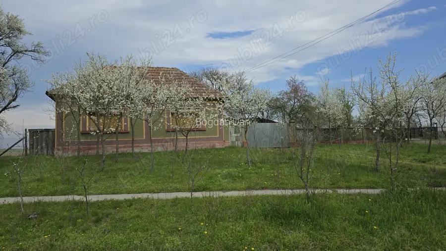 Casa la tara Casa la tara
