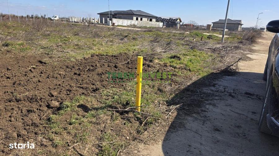 DN 4 Frumusani - Proprietar ofer spre vanzare teren 500 mp - 3