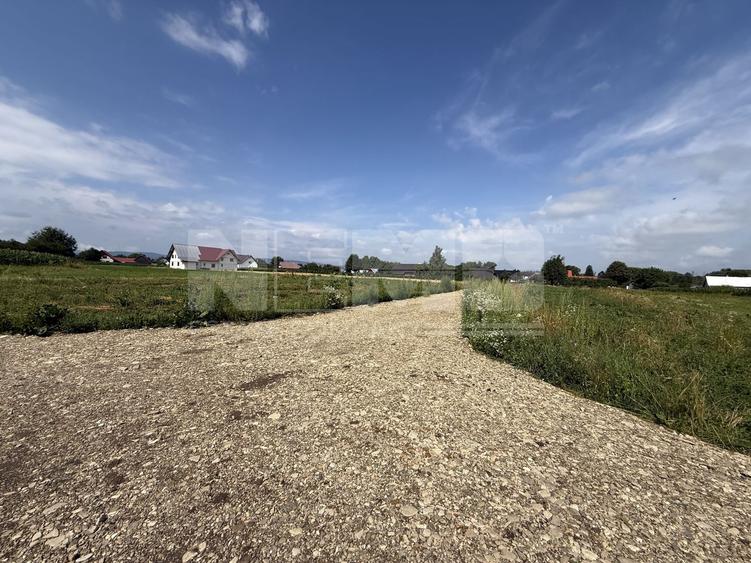 Teren Construcții intravilan de 23000 mp, în Horodnic de Jos