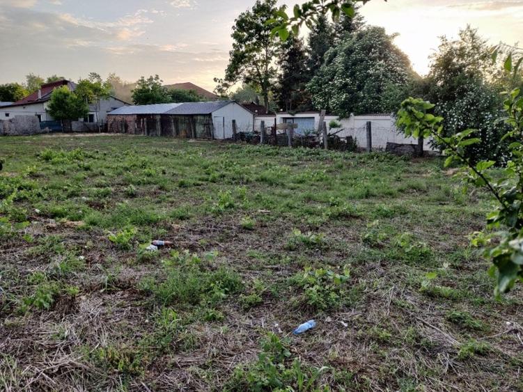 Teren Straulesti 500mp - 8