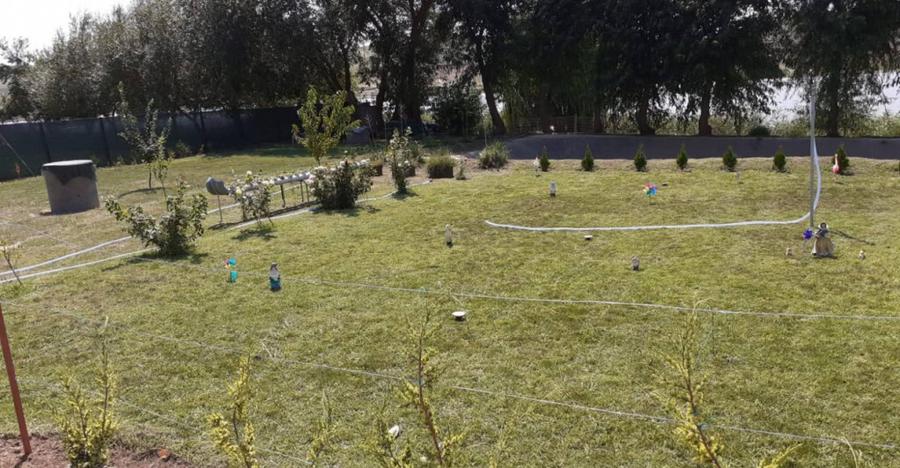 HORIA - 3 CAMERE ,SUPRAFATA 100 MP,TEREN 3000 MP CU DESCHIDE - 4