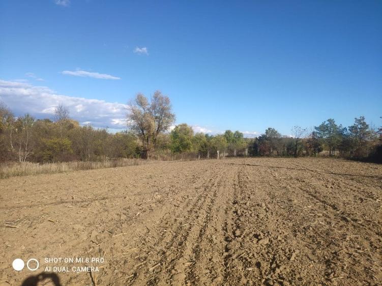 Snagov Ghermănești 4000 Mp Teren de v&acirc;nzare L3 S+P+1E+M LIDL Ieșirea Spre A3 - 5