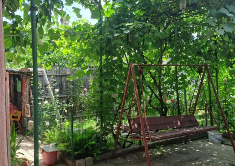 Casa parter , Bariera Valcii , 816 mp teren - 13