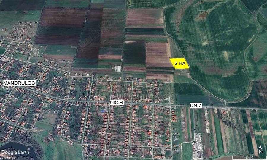 2 ha teren de vanzare in Vladimirescu- Cicir - 6
