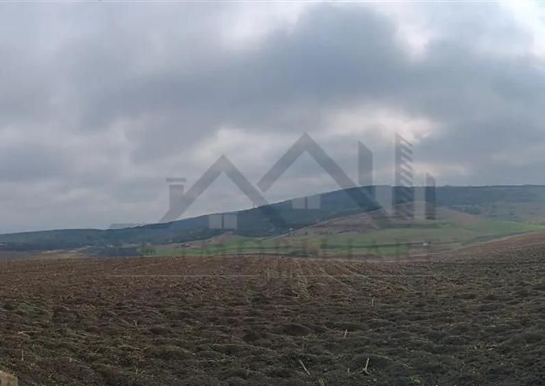 Aroneanu - Dorobant TEREN 46000mp PUZ realizat 59 de case la - 8