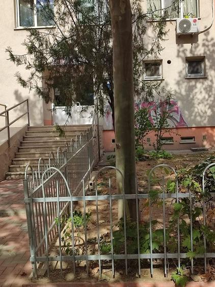 Spațiu comercial, de 36 mp, în Theodor Pallady