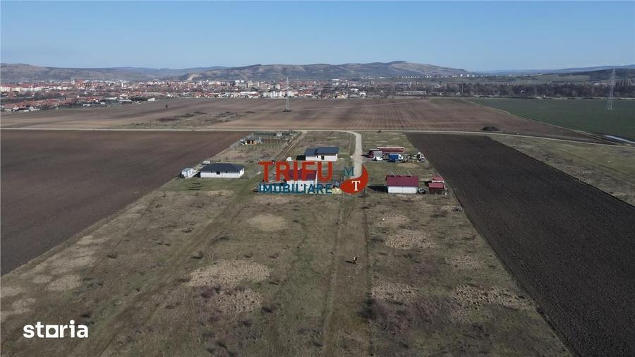 Teren de 600 mp, în Sebeș