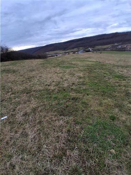 Teren Construcții intravilan de 5487 mp, în Betfia