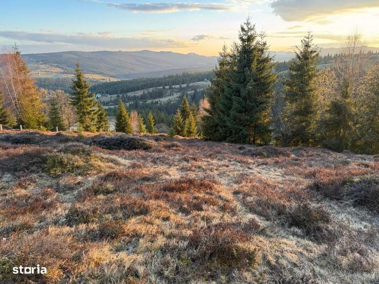 Teren intravilan 4.930 mp | Dealu Botii | Panorama superba - 4