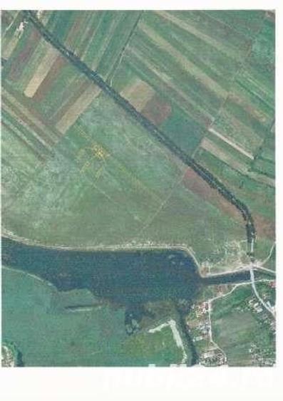 Teren în Siliștea Snagovului