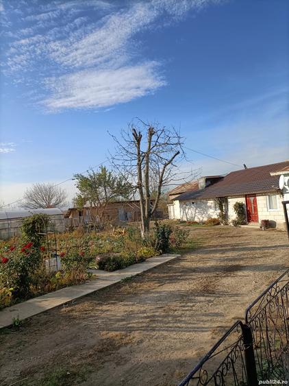 Casa de vanzare - 7