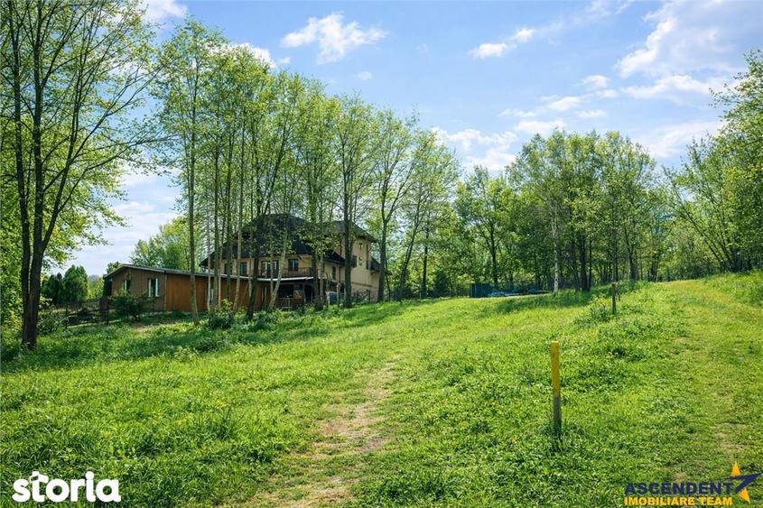 3.000mp de incantare montana cu cabana din lemn masiv, Zarnesti Tohani - 12