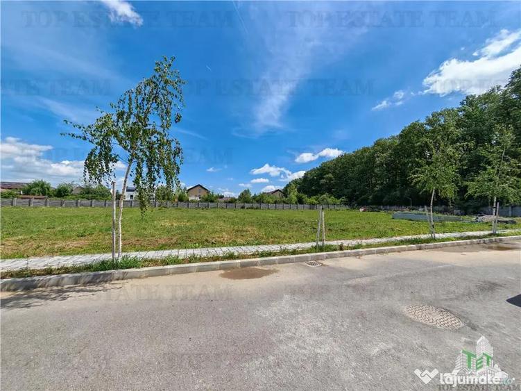 Teren constructii in proximitatea Padurii Corbeanca - 1