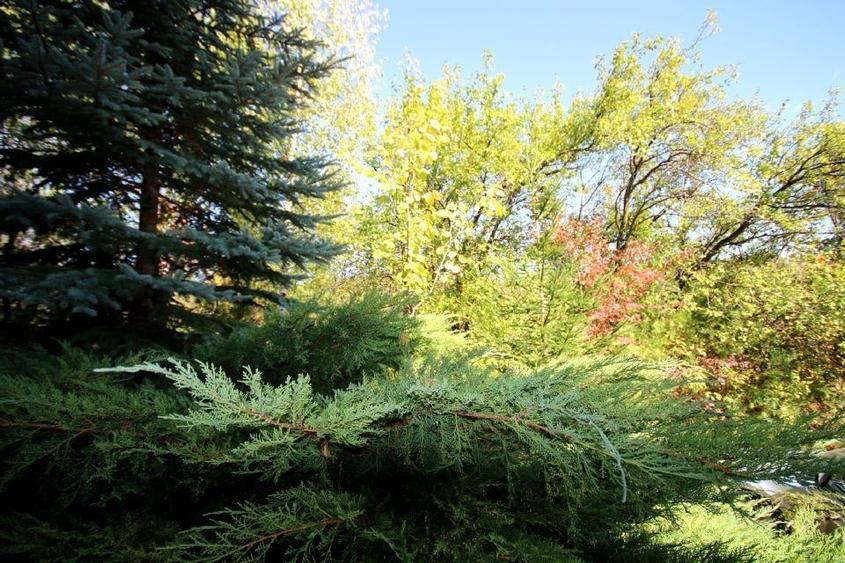 Vanzare vila Valenii de Munte - Drajna de Sus, judet Prahova - 20