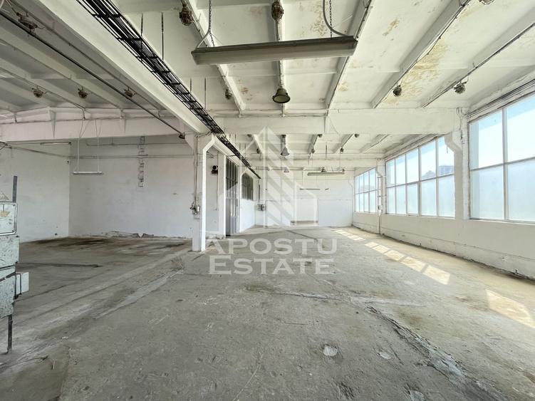 Hala depozitare sau productie, 310 mp, Zona Buziasului - 1