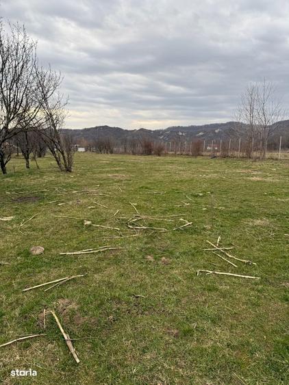 Brebu - teren intravilan 5200mp parcelabil - 25 Euro/mp - 4