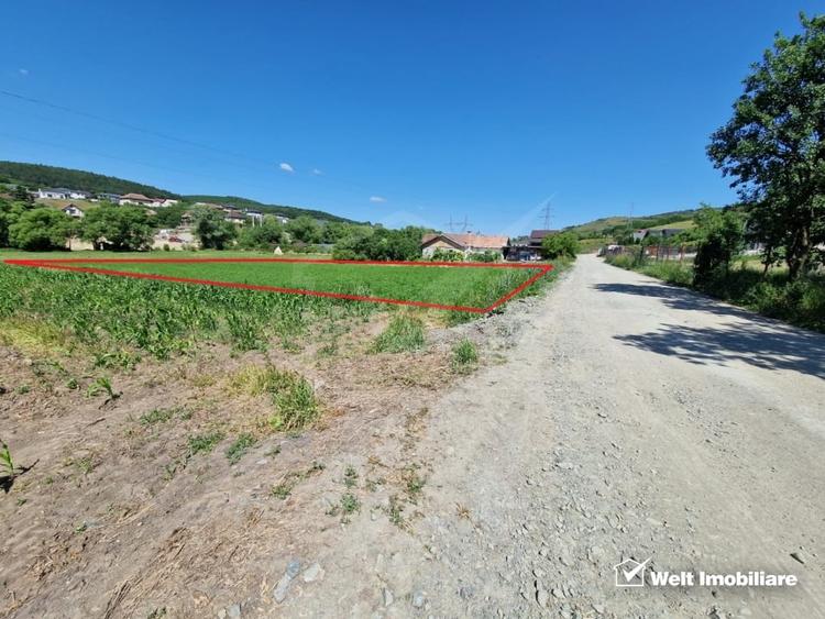 Teren intravilan 2000 mp – Popesti (Baciu) Ideal pentru casa, gradina si livada - 2