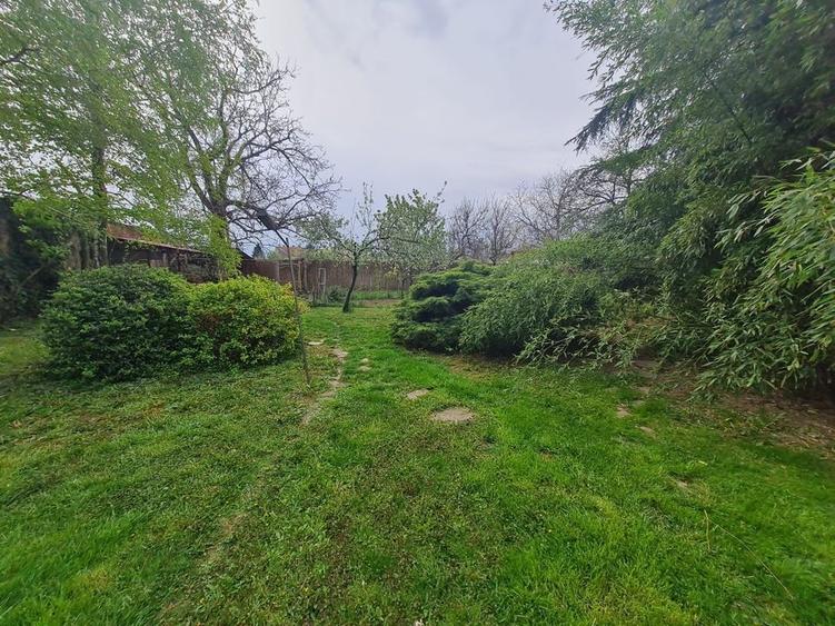 Vila individuala,la 10 min de Piața Victoriei! - 28